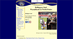 Desktop Screenshot of bellingarastud.com.au